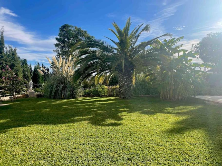 Apartamento Con Jardin Y Piscina En Cordoba Dış mekan fotoğraf